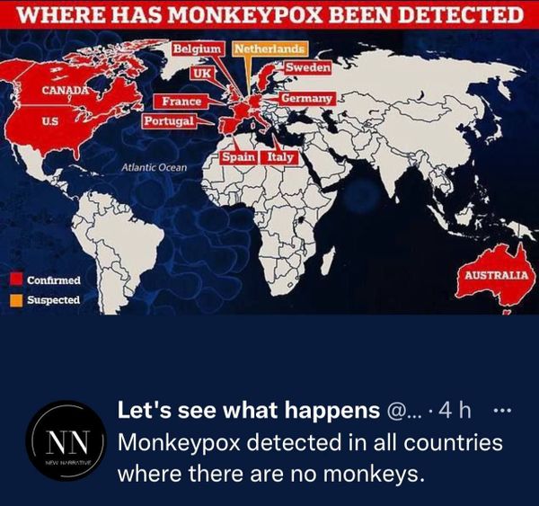 The Monkeypox Scam