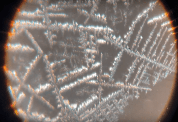 Death via Graphene Oxide Nano-particles
