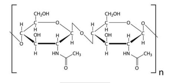 Insects Contain A Structural Component In Their Exoskeletons Called Chitin Which is Toxic To Humans