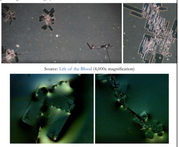 LA QUINTA COLUMNA • Show Us What  Is In The “Vaccines” • Graphene Oxide • Evidence of a Global Crime Against Humanity