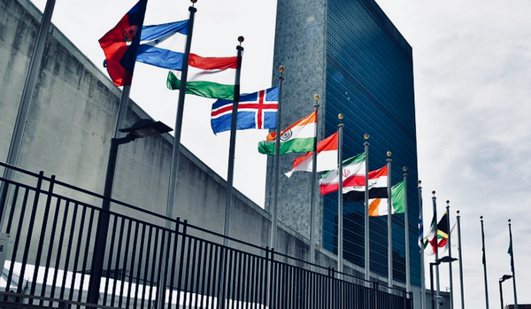 The UN Pandemic Declaration Approval is a Testament to the Aversion of Evidence | Be prepared to respond with the most powerful word in every language NO!