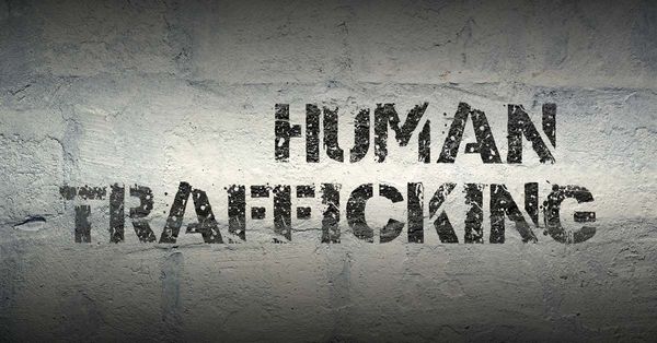 Human Trafficking, Children, and Forced Immigration as a State Plan of Wealth, Perversion, Labor, and Societal Division