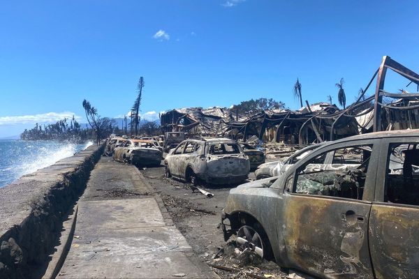 The Firebombing Of Maui | Fires that vaporize houses and melt glass and metal while leaving nearby trees standing tall are deliberately set using DEWs