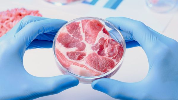 Why Synthetic Food Is Very Dangerous