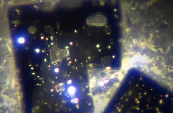 COVID Vaccines Have Caused a Dangerously Deadly Alliance Between mRNA, Graphene & Nanotechnology
