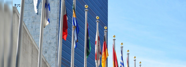 The Agenda of the UN and WHO: Total Enslavement of Humanity Through a “Global Health Dictatorship”
