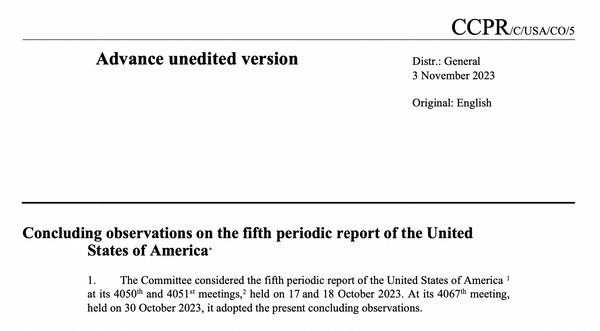 UN Report Attacks US, Constitution & God-Given Rights
