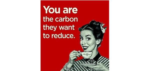 Net Zero Is A Scam