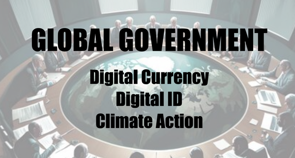 2024: The Year Global Government Takes Shape