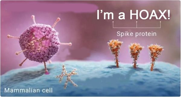 Gas lighting and Misdirection with the Spike Protein Fantasy