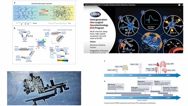"Hydrogel Platform Enables Versatile Data Encryption And Decryption"