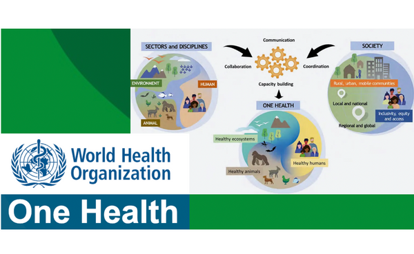 One Health Is a Globalist Grant-Making Scam | Never In The History Of Humanity Has Stupidity Been So Abundant