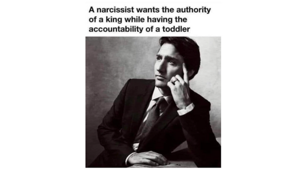 How The Liberals Swindle Canadians Out Of Their Democratic Rights