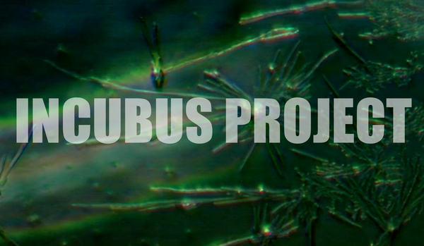 INCUBUS PROJECT | 144 Hours, 192, Hours, 336 Hours