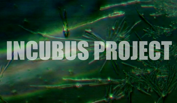 INCUBUS PROJECT | Findings and Appeal from La Quinta Columna | Updated