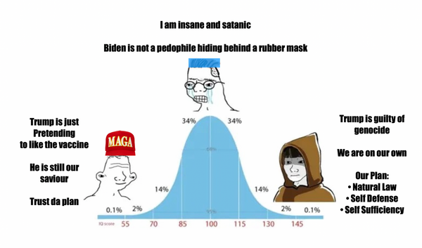 The New Civil War | The Insane vs The Stupid vs The Intelligent