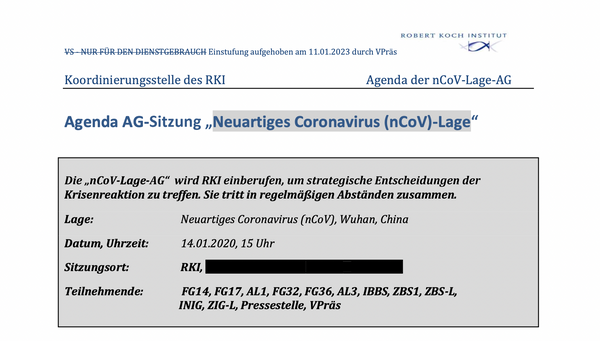 German Government Documents | 2000 Pages Showing That The "Pandemic" Was All Fraud | A tightly choreographed military grade psy-op to brainwash the masses into accepting a deadly vaccine