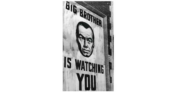 Down with Big Brother: Warrantless Surveillance Makes a Mockery of the Constitution