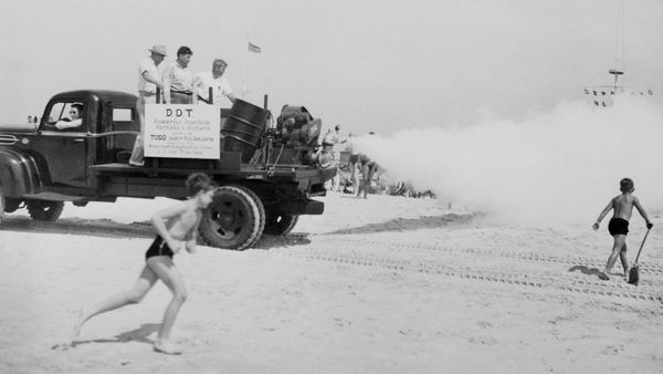 America’s Love Affair with Highly Toxic Chemicals: DDT, Agent Orange, Depleted Uranium, Glyphosate