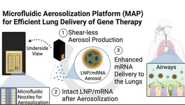 Aerosolization of Lipid Nanoparticles for mRNA Inhalation Gene Therapy | Aerosolized Nanobots
