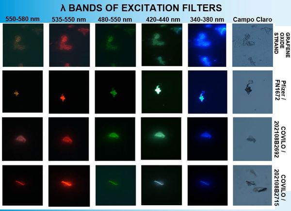 Discussion of Argentinian C19 Bioweapon Analysis Finding Building Blocks Of Self Assembly Nanotechnology