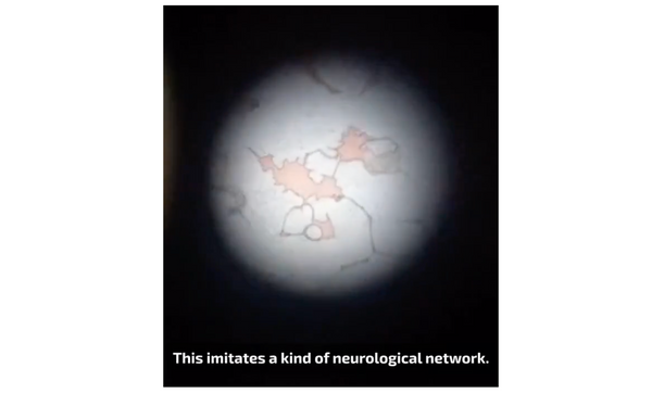 Artificial Neurological Network In Blood Of The Vaccinated