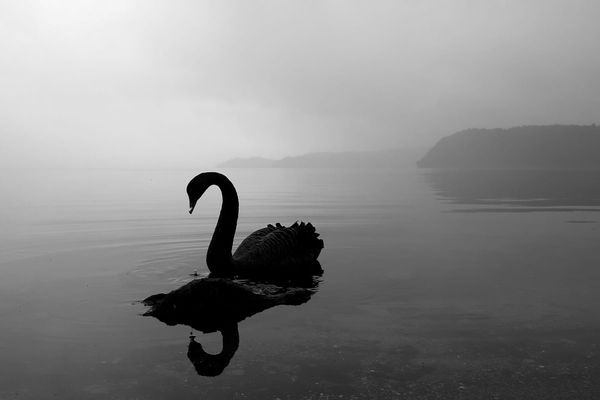 Secret War Intensifies In Anticipation Of Financial Black Swan Event