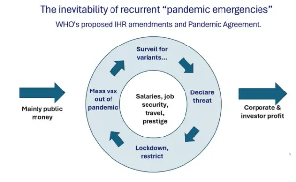 Adopted IHR Amendments Strengthen Surveillance And Require Countries To “Address Misinformation”