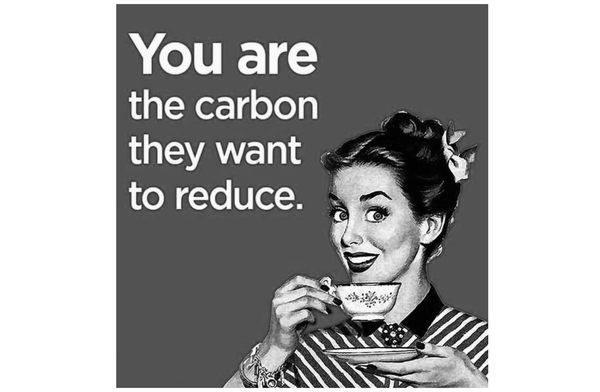 Net Zero will Destroy You, Your Family and Everything You Love