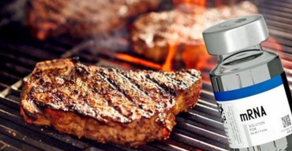 Rancher Sounds Alarm on Mandatory mRNA Vaccines For Meat Supply