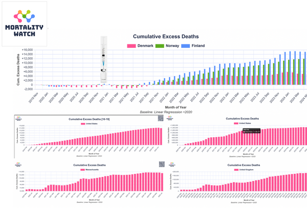 Excess Death Charts Since The Covid "Vaccine" Bioweapon Injection Roll Out | Still Rising