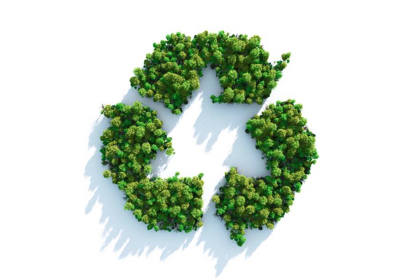 Plastic Recycling Is A Scam | Recycled Plastics Are More Toxic Than New Ones