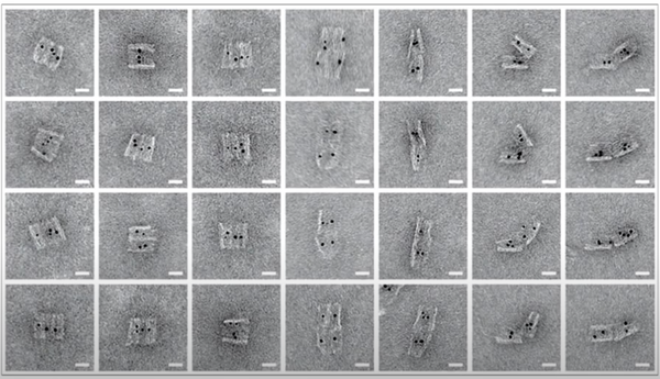 How They Make Injectable Nano-Bots