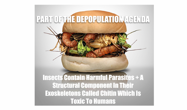 'Nature-Positive Food Systems' | The Elite Plan for the Great Food 'Reset' [Reduction]