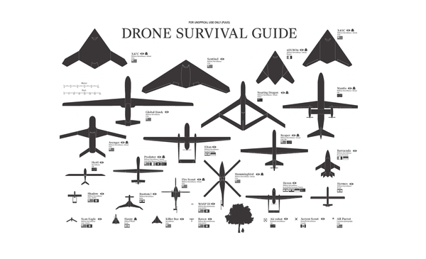 Invasion Of The Drones