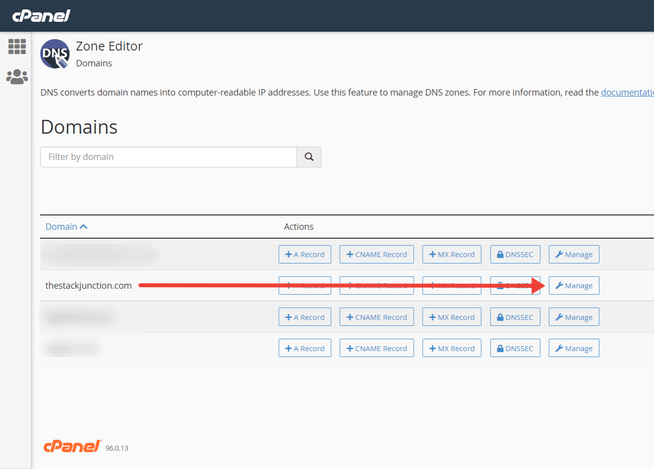 On the Zone Editor click on Manage for the website you want to add records