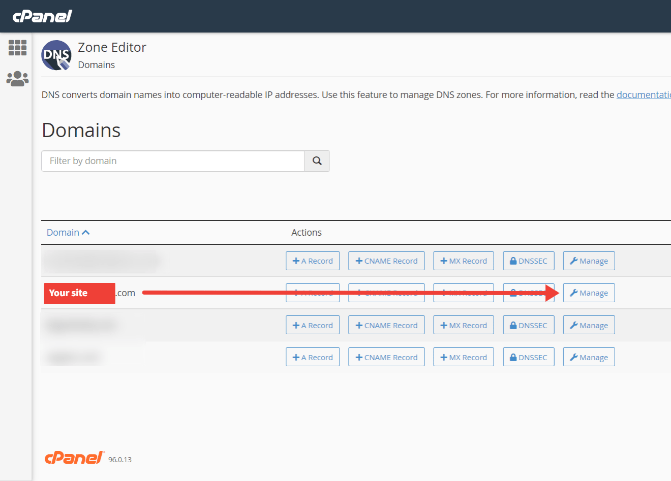 cPanel manage DNS records.