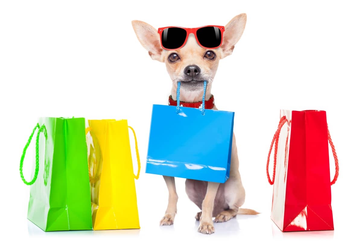 mobile marketing - litte dog wtih shopping bags