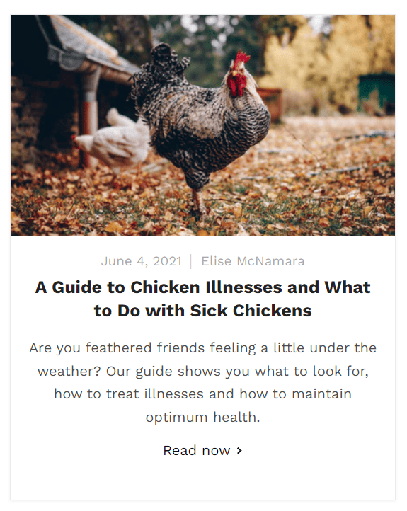 content marketing - screenshot of blog post re chicken illness