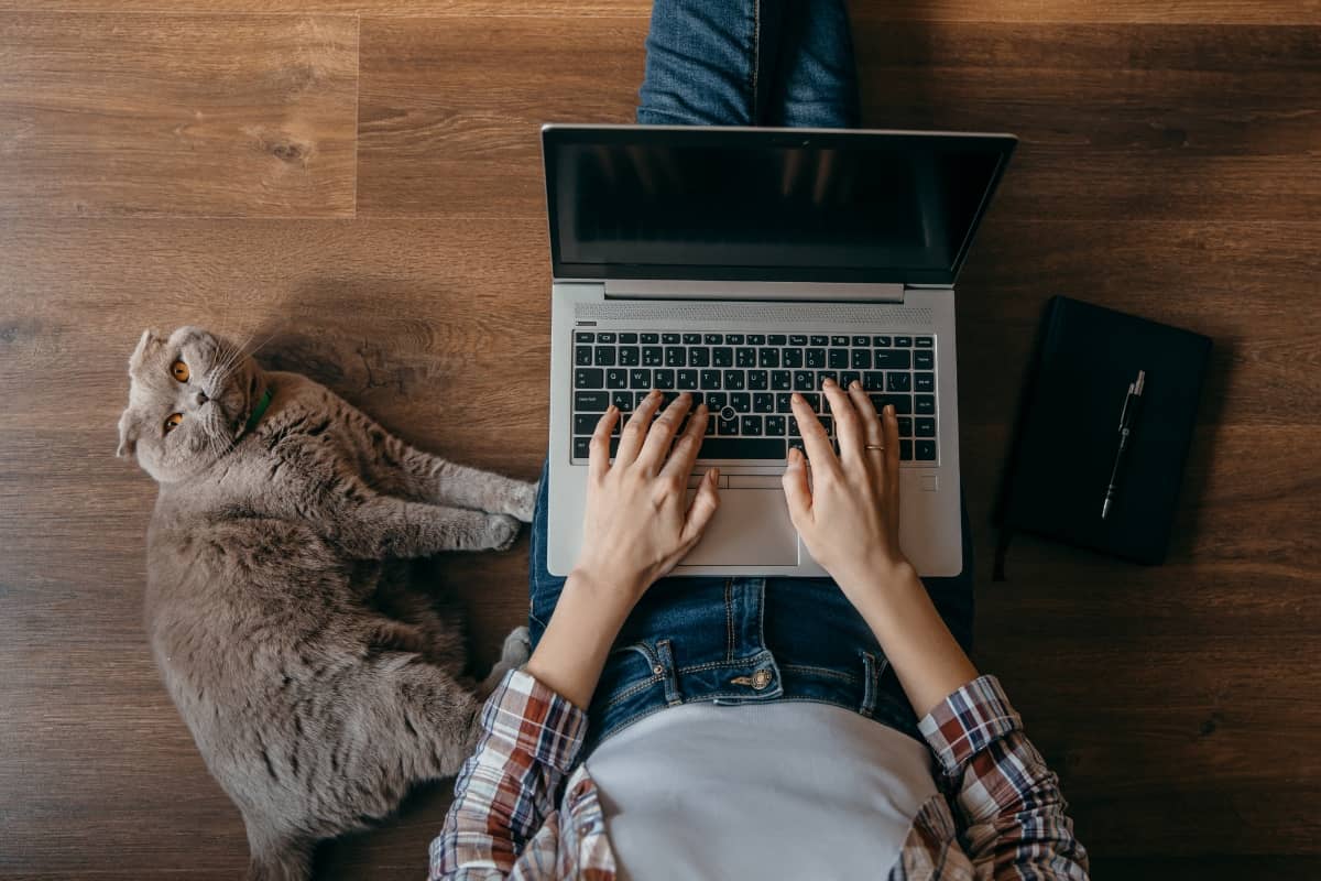 digital marketing - woman working on laptop with cat next to her