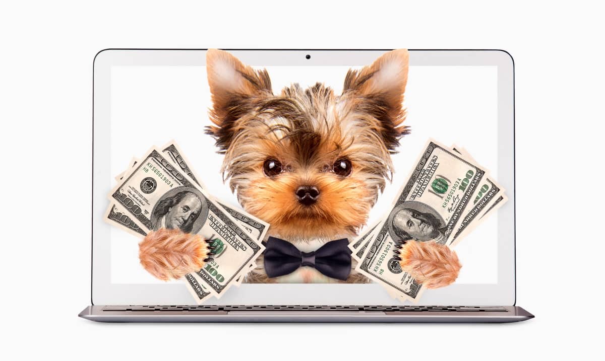 ecommerce marketing - cute dog holding money coming out of laptom