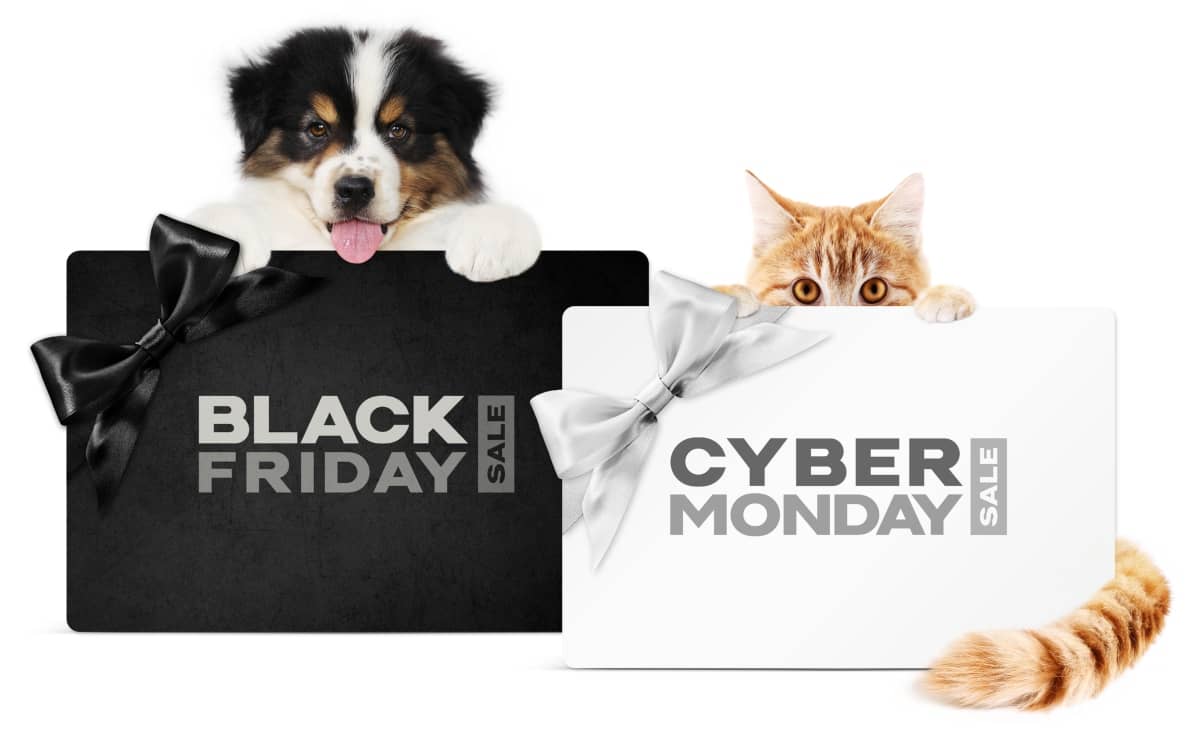 affiliate marketing strategies - dog with package that says "black Friday sale" and cat with a package that says "cyber Monday sale"