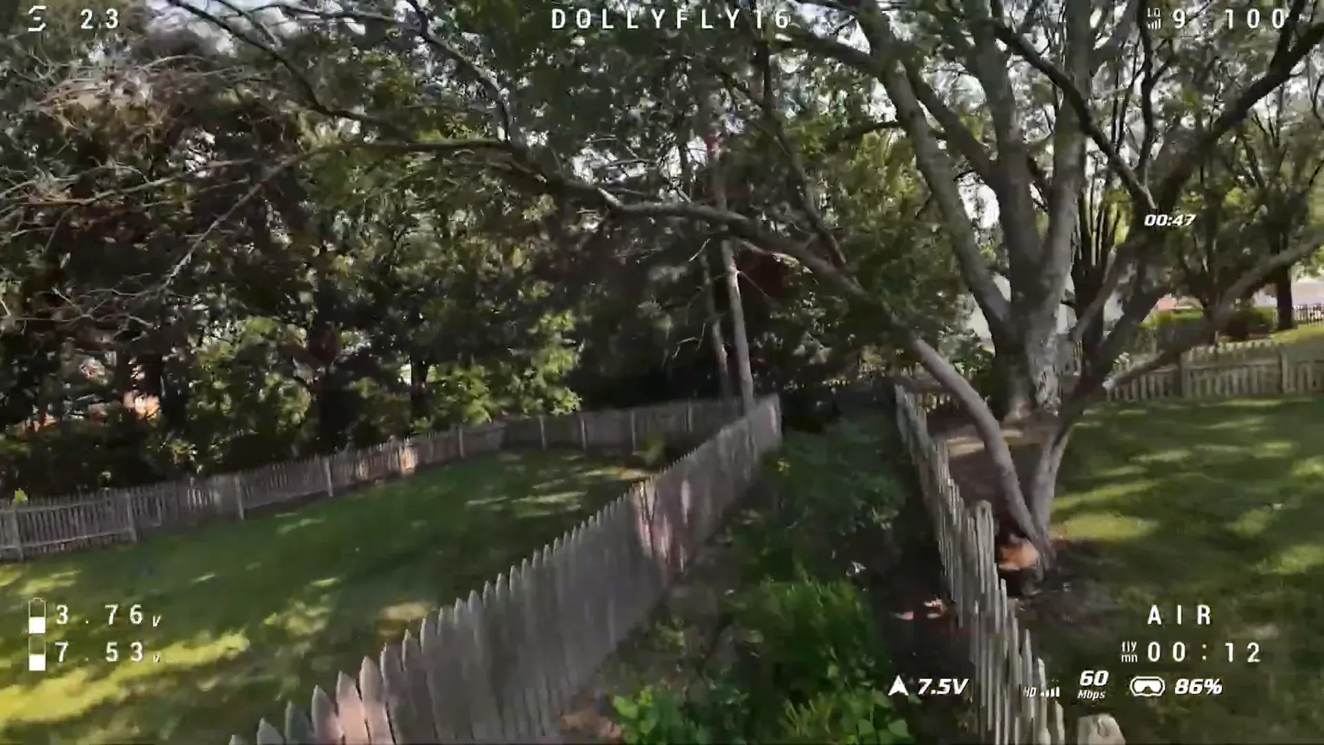 Branches moving in strong wind during outdoor test