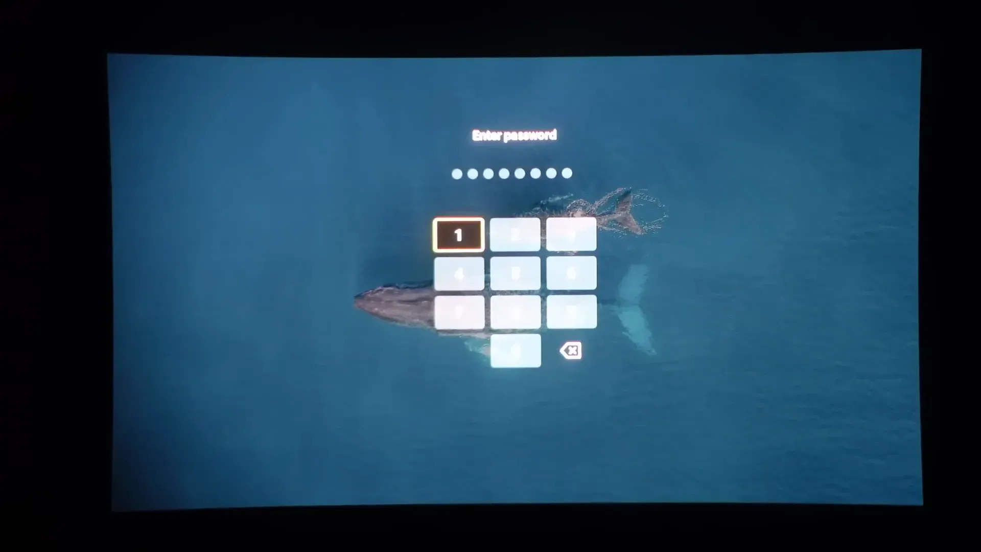 DJI Goggles 3 password protection screen