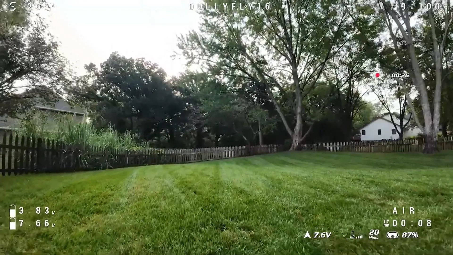 Morning flight footage with calm leaves