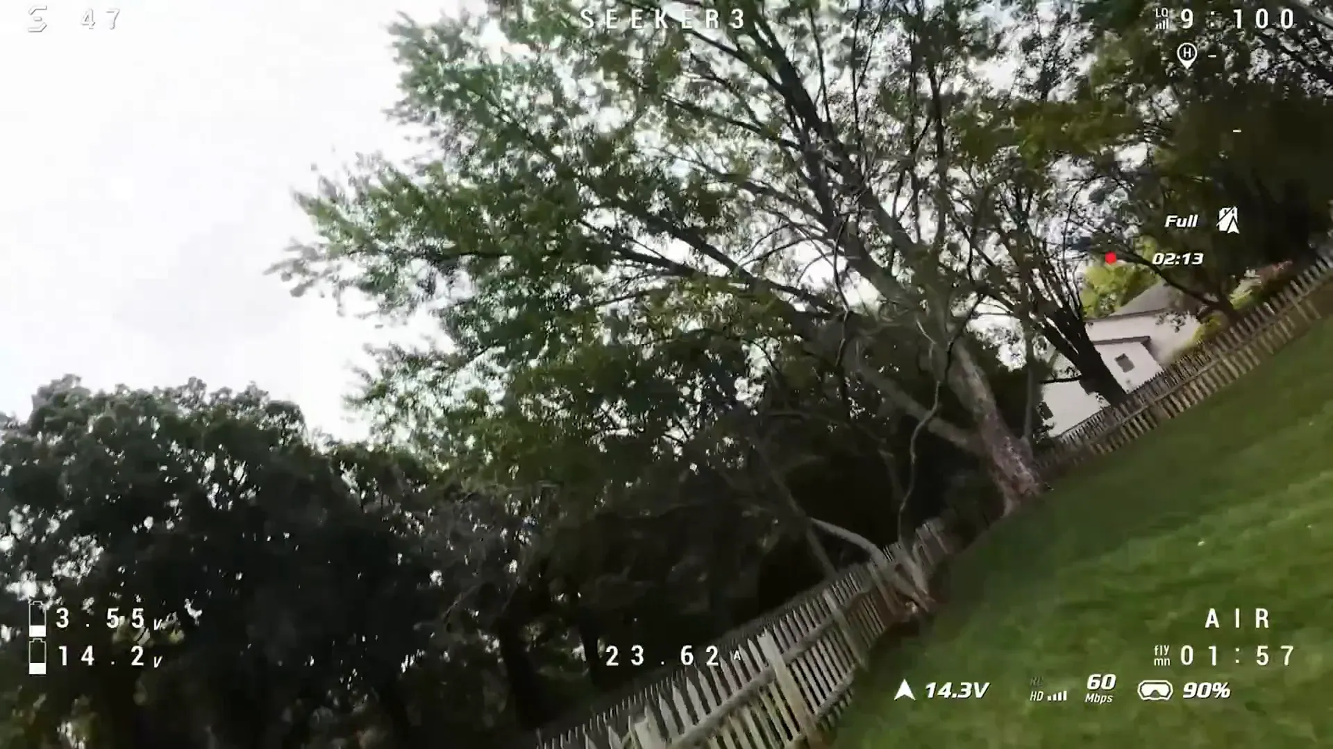 High camera angle nearly touching the canopy
