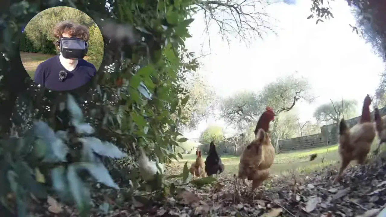 FPV frame of chickens running toward the camera with a presenter inset wearing VR04-style goggles