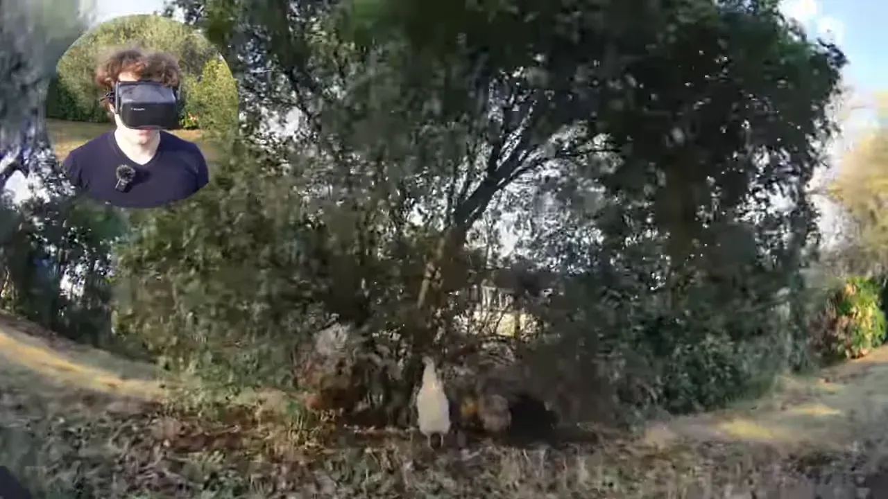FPV view of bushes with chickens on the ground and a presenter inset wearing VR04-style goggles