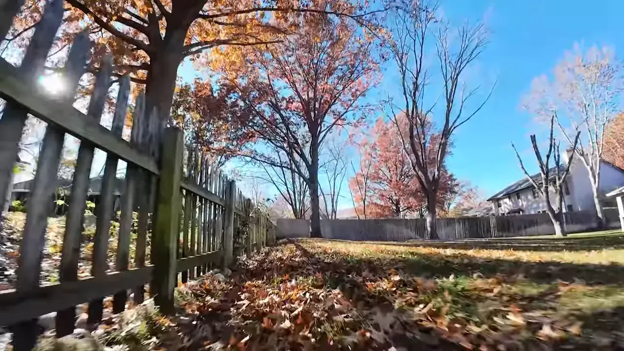 Low-angle FPV shot of a wooden fence, autumn leaves and trees in a backyard under a blue sky.