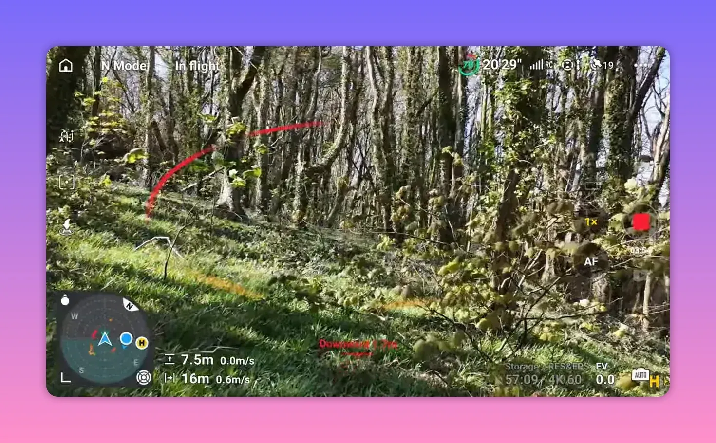 DJI Lito X1 controller live view in a forest showing obstacle-sensing indicator line